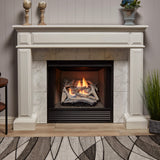 Bluegrass Living Vent Free Dual Fuel Driftwood Gas Log Set