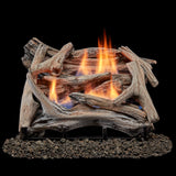 Bluegrass Living Vent Free Dual Fuel Driftwood Gas Log Set