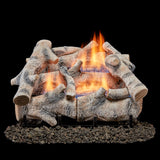Bluegrass Living Vent Free Dual Fuel Birch Gas Log Set