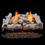 Bluegrass Living Vent Free Dual Fuel Birch Gas Log Set