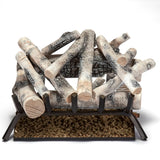 Bluegrass Living Vented Natural Gas Fireplace Log Set - 24 in. Birch Wood, 55,000 BTU, Match Light - Model# BVL24-2