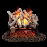 Bluegrass Living Vented Natural Gas Fireplace Log Set - 18 in. Birch Wood, 45,000 BTU, Match Light - Model# BVL18-2