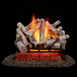 Bluegrass Living Vented Natural Gas Fireplace Log Set - 24 in. Birch Wood, 55,000 BTU, Match Light - Model# BVL24-2