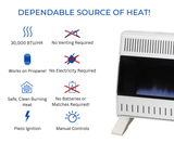 ProCom Heating Manual Control Blue Flame Vent Free Indoor Space Heater 30,000 BTU with Base Feet Included
