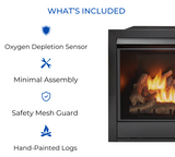 Duluth Forge Dual Fuel Ventless Fireplace Insert - 32,000 BTU, Remote Control FDI32R