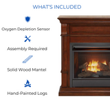 Duluth Forge Dual Fuel Ventless Gas Fireplace - 26,000 BTU