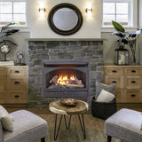 ProCom 29in. Ventless Gas Dual Fuel Fireplace Insert - 26,000 BTU, T-Stat Control - Model# FBNSD28T