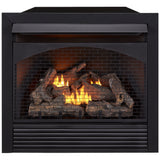 ProCom 32in. Ventless Gas Dual Fuel Fireplace Insert - 32,000 BTU, Remote Control - Model# FBNSD32RT