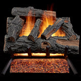 HearthSense Vented Gas Log Set - 18 in., 45,000 BTU - Model# MO18HVL