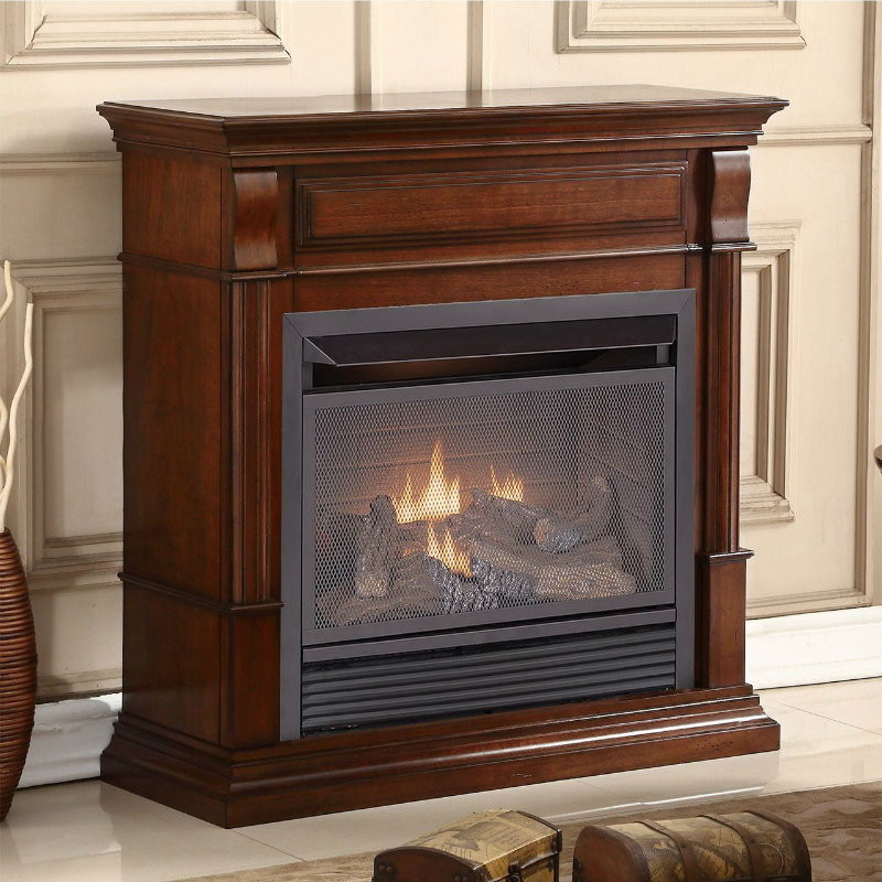 Duluth Forge Dual Fuel Ventless Gas Fireplace