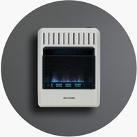Dual Fuel Gas Space Heater