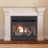 Duluth Forge Dual Fuel Ventless Gas Fireplace Insert - 32,000 BTU, Remote Control - Model# FDF400RT-ZC