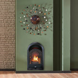ProCom Ventless Fireplace Insert Thermostat Control Arched Door
