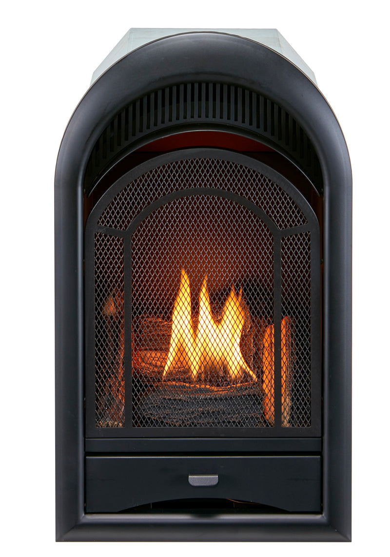 ProCom Ventless Fireplace Insert Thermostat Control Arched Door