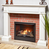 Duluth Forge Liquid Propane Ventless Gas Fireplace Insert - 26,000 BTU, T-Stat Control - Model# FLF300T