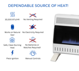 ProCom Heating Natural Gas Ventless Blue Flame Heater With Base Feet - 30,000 BTU, Manual Control - Model# MN300HBA-B