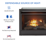 Duluth Forge Liquid Propane Ventless Gas Fireplace Insert - 26,000 BTU, T-Stat Control - Model# FLF300T