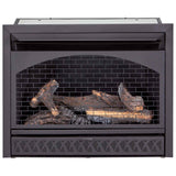 ProCom 29in. Ventless Gas Dual Fuel Fireplace Insert - 26,000 BTU, T-Stat Control - Model# FBNSD28T