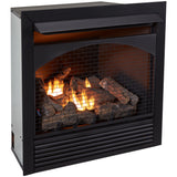 ProCom 32in. Ventless Gas Dual Fuel Fireplace Insert - 32,000 BTU, Remote Control - Model# FBNSD32RT