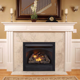 ProCom 32in. Ventless Gas Dual Fuel Fireplace Insert - 32,000 BTU, Remote Control - Model# FBNSD32RT