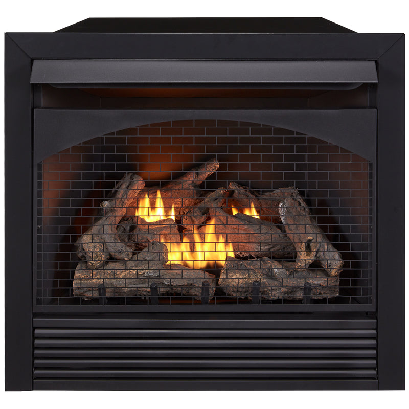 ProCom 32in. Ventless Gas Dual Fuel Fireplace Insert - 32,000 BTU, Remote Control - Model# FBNSD32RT