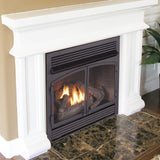 Duluth Forge Dual Fuel Ventless Gas Fireplace Insert - 32,000 BTU