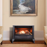 ProCom Ventless Indoor Stove 25,000 BTU, Free Standing, Dual Fuel Propane and Natural Gas